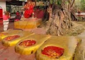 पाउ पाथिभरामा भेटीबाट एक करोड ४२ लाख सङ्कलन