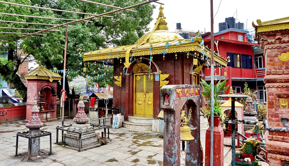 श्रीपञ्चमीमा निलसरस्वती पहिलो महोत्सव